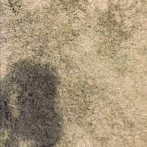 Shaggy/fur rug!